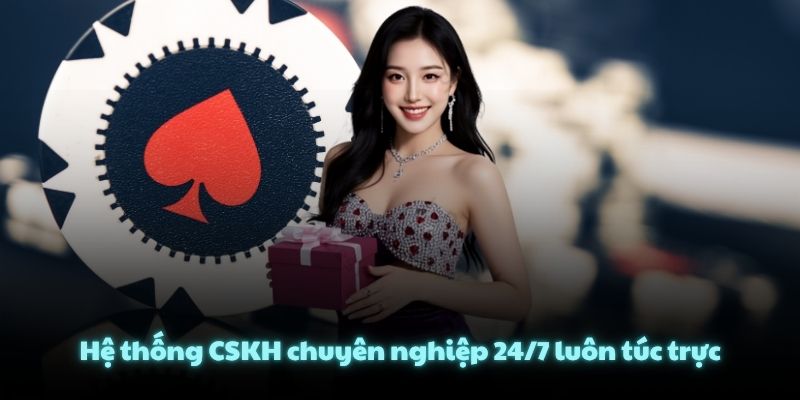 Hệ thống CSKH chuyên nghiệp 24/7 luôn túc trực
